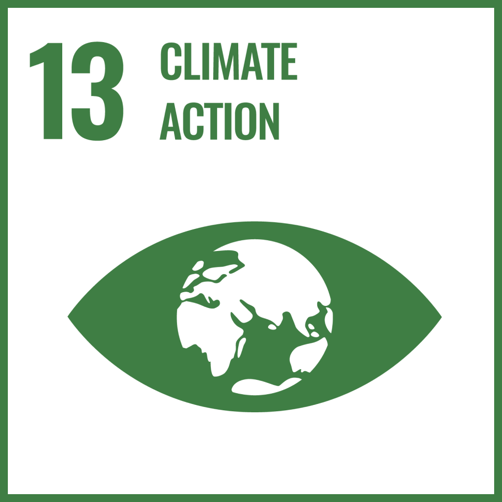 SDG 3